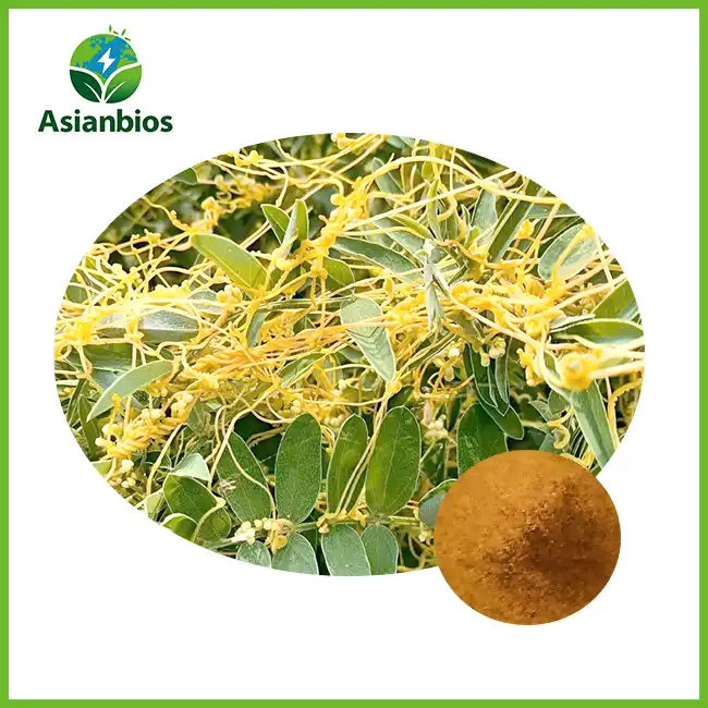 Cuscuta Extract
